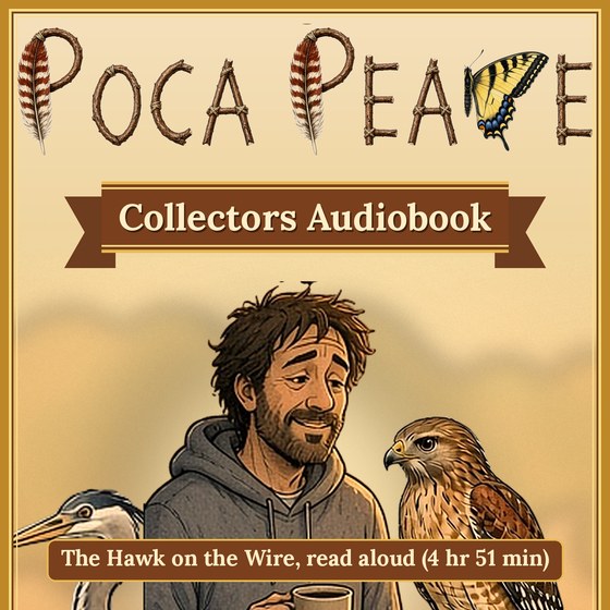 PocaPeace Collectors Audiobook cover