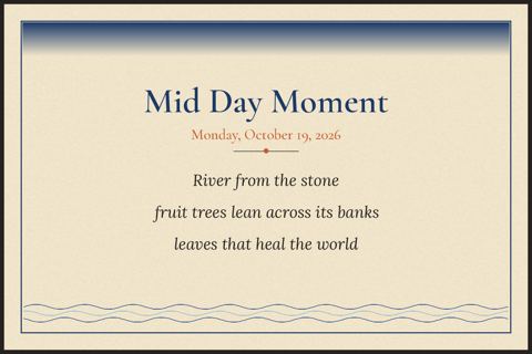 Mid Day Moment back