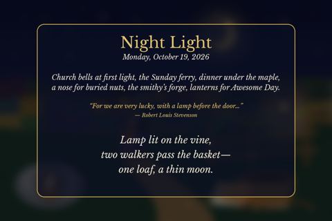 Night Light back
