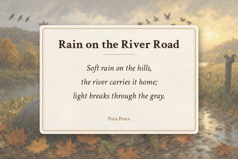 Rain on the River Road back