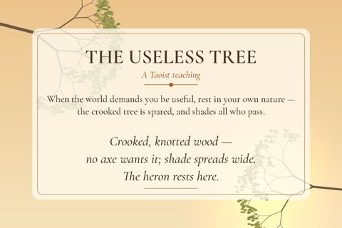 The Useless Tree back
